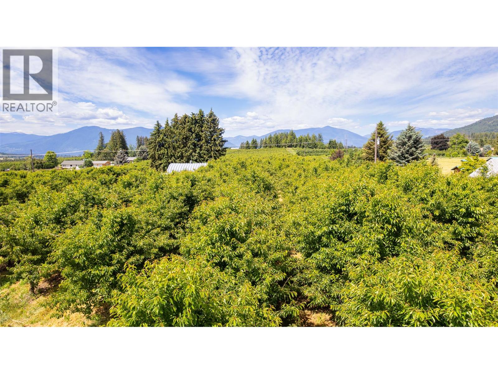 Parcel A Of Lot 79 & 80 Canyon Lister Road, Canyon, British Columbia  V0B 1C1 - Photo 15 - 10390782