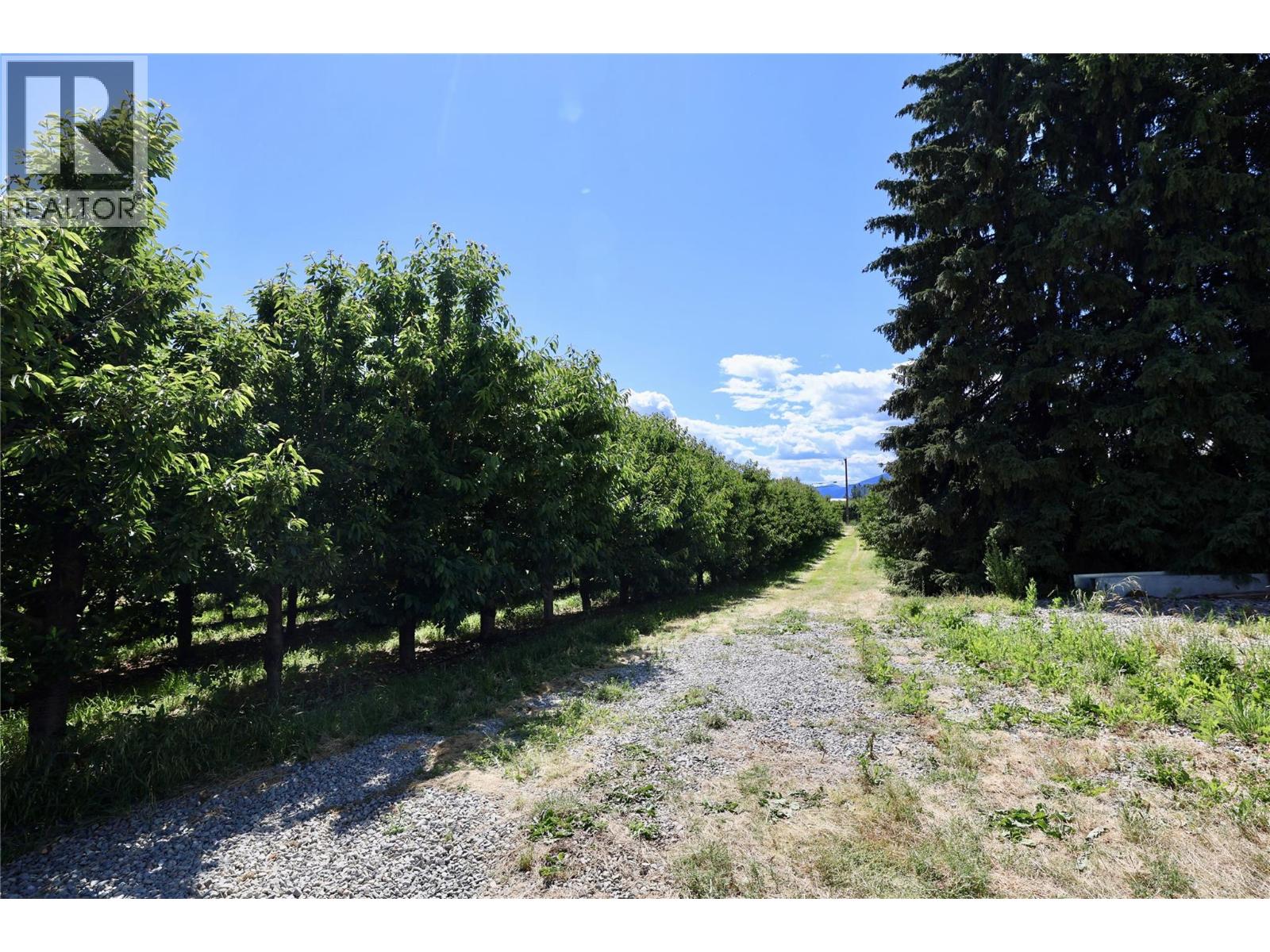 Parcel A Of Lot 79 & 80 Canyon Lister Road, Canyon, British Columbia  V0B 1C1 - Photo 10 - 10390782