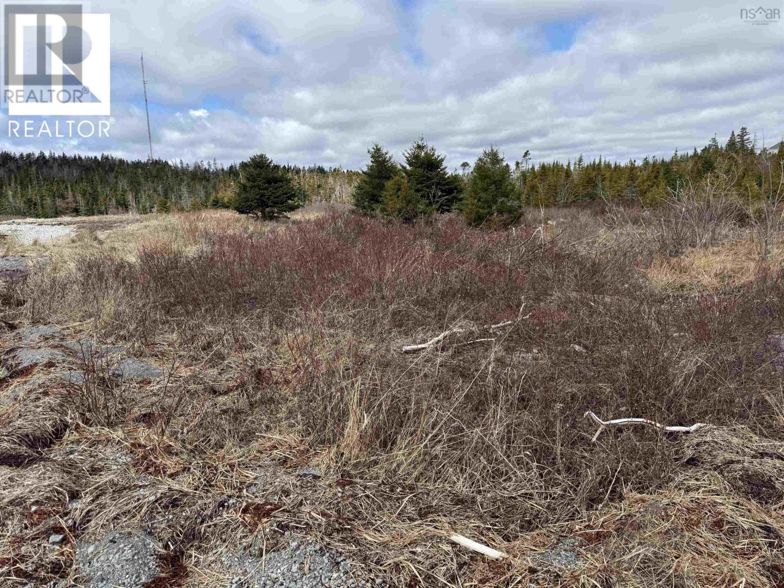 7 Highway, Ecum Secum, Nova Scotia  B0J 2A0 - Photo 18 - 202607736