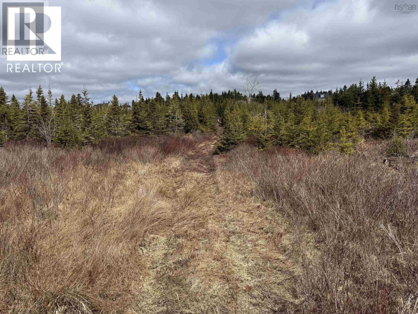 7 Highway, Ecum Secum, Nova Scotia  B0J 2A0 - Photo 15 - 202607736