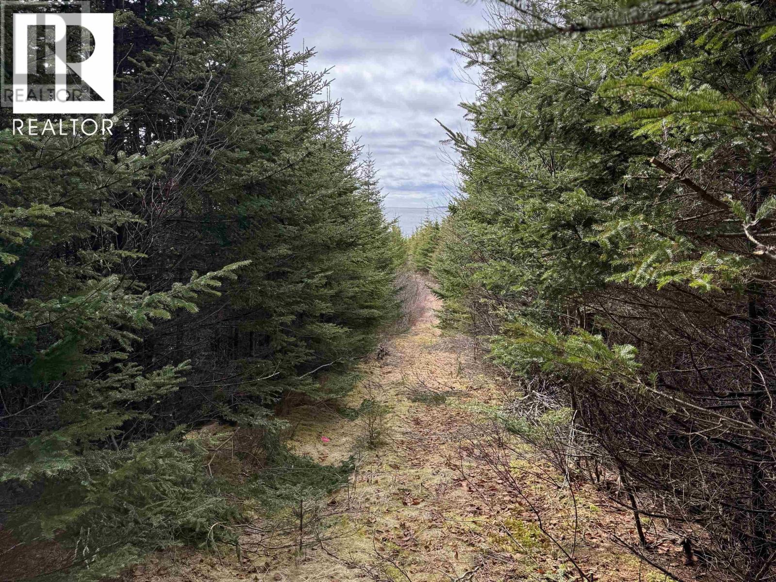 7 Highway, Ecum Secum, Nova Scotia  B0J 2A0 - Photo 3 - 202607736