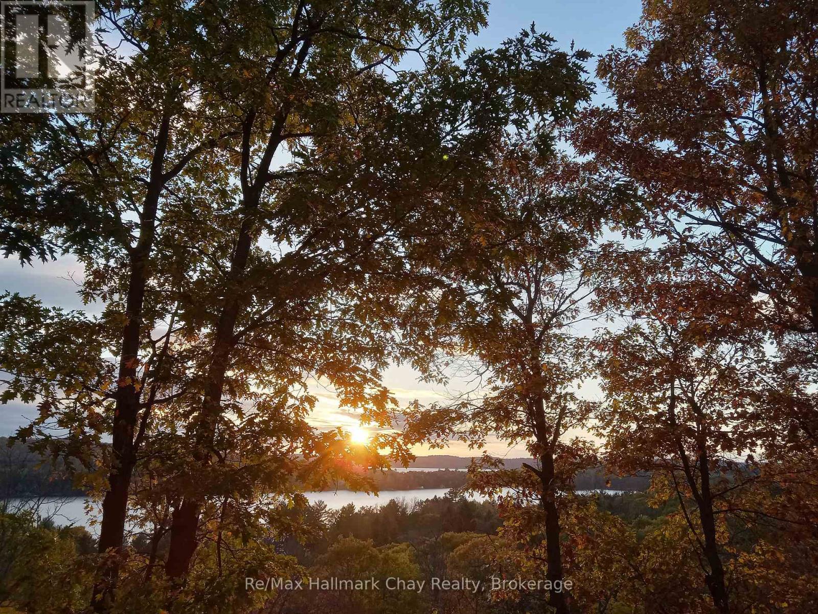 1497 Fox Point Road, Lake Of Bays, Ontario  P0A 1H0 - Photo 3 - X13459608