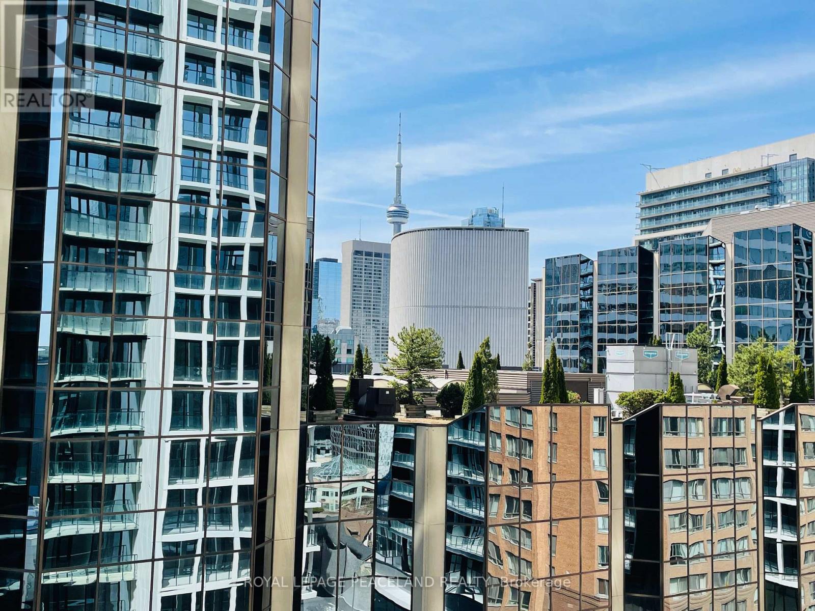1007 - 20 Edward Street, Toronto, Ontario  M5G 1C9 - Photo 12 - C13502880