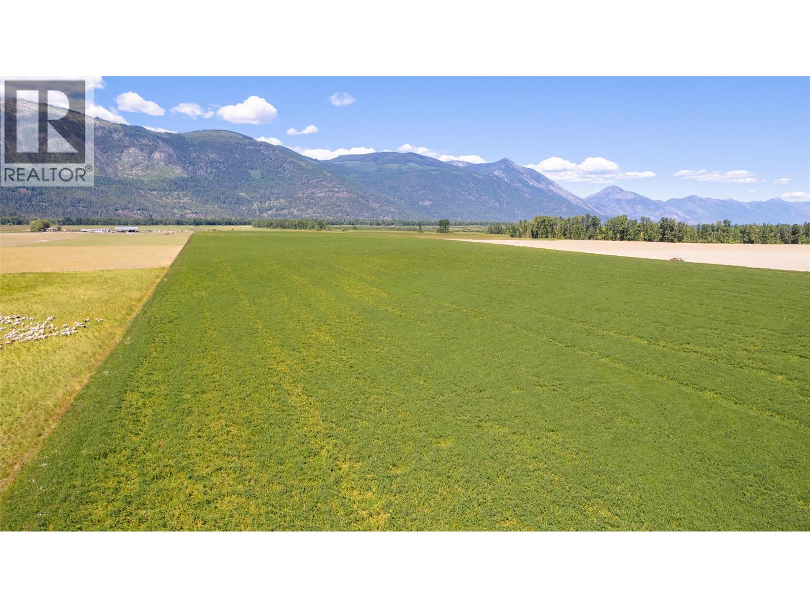 Lot 41 Farmin Road, Wynndel, British Columbia  V0B 2N1 - Photo 5 - 10390564