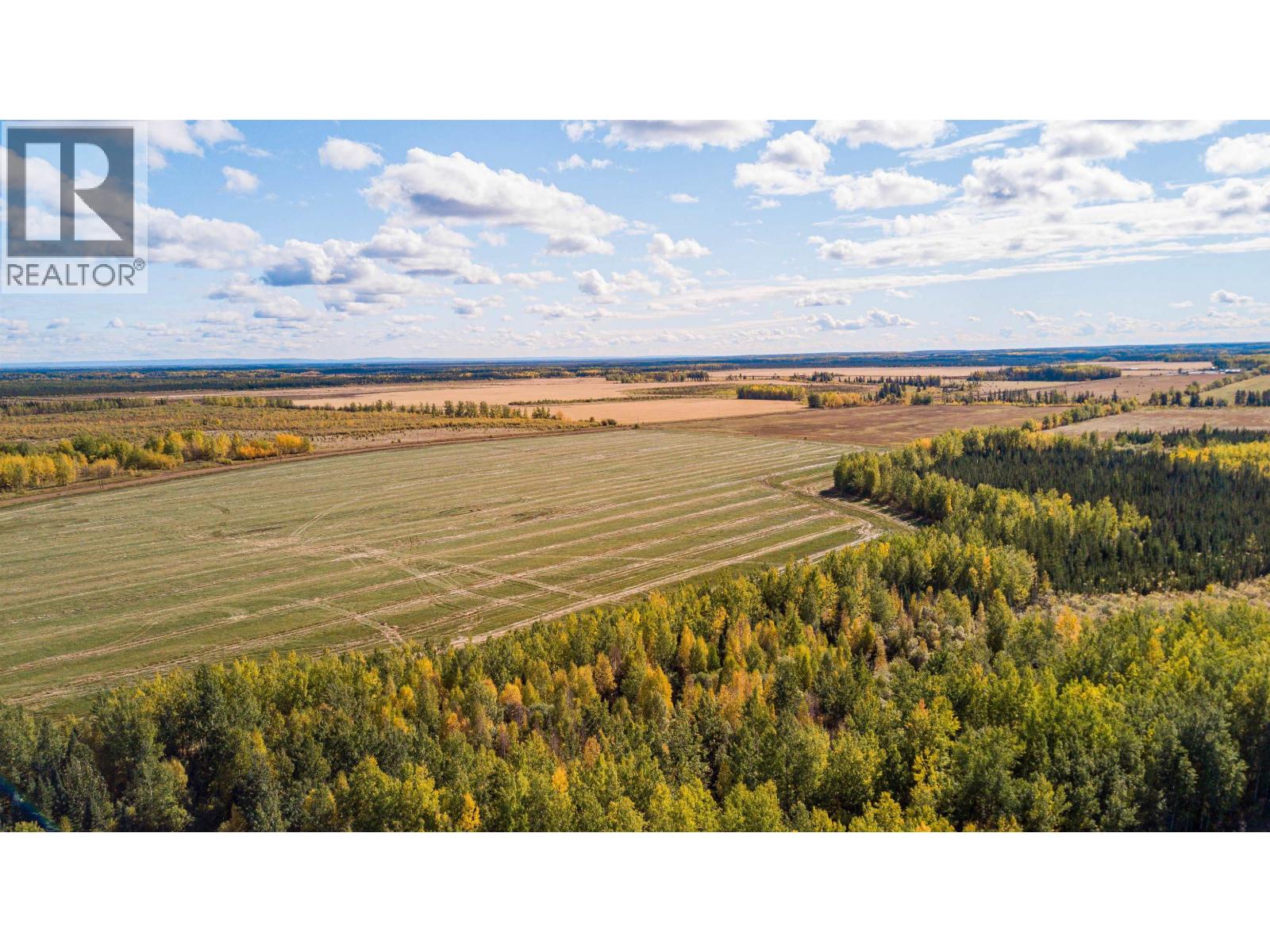 21250 Pdr 200 Road, Fort St. John, British Columbia  V0C 1H0 - Photo 12 - C8080008