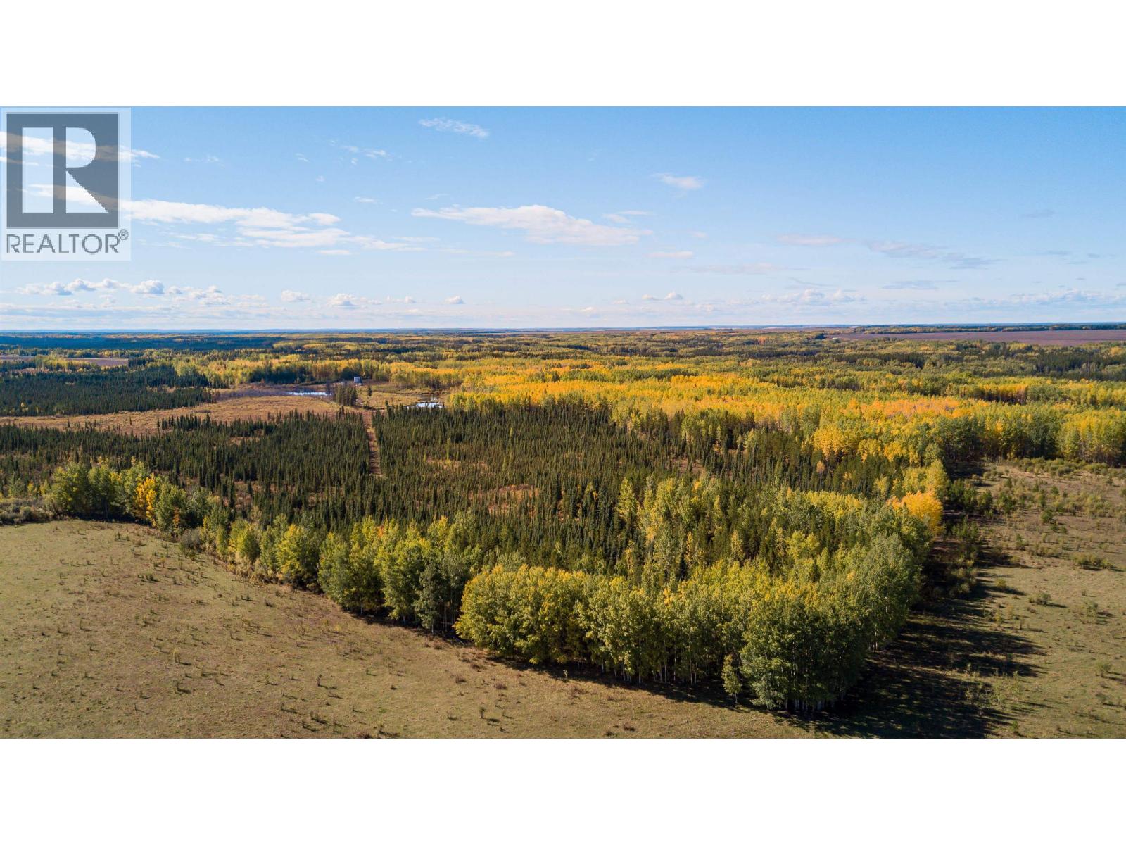 21250 Pdr 200 Road, Fort St. John, British Columbia  V0C 1H0 - Photo 11 - C8080008