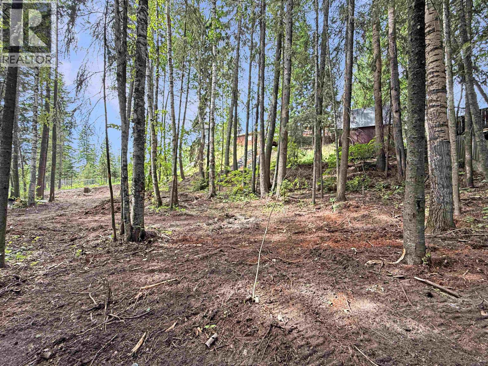 2555 Wallace Place, Prince George, British Columbia  V2K 3V9 - Photo 37 - R3141067