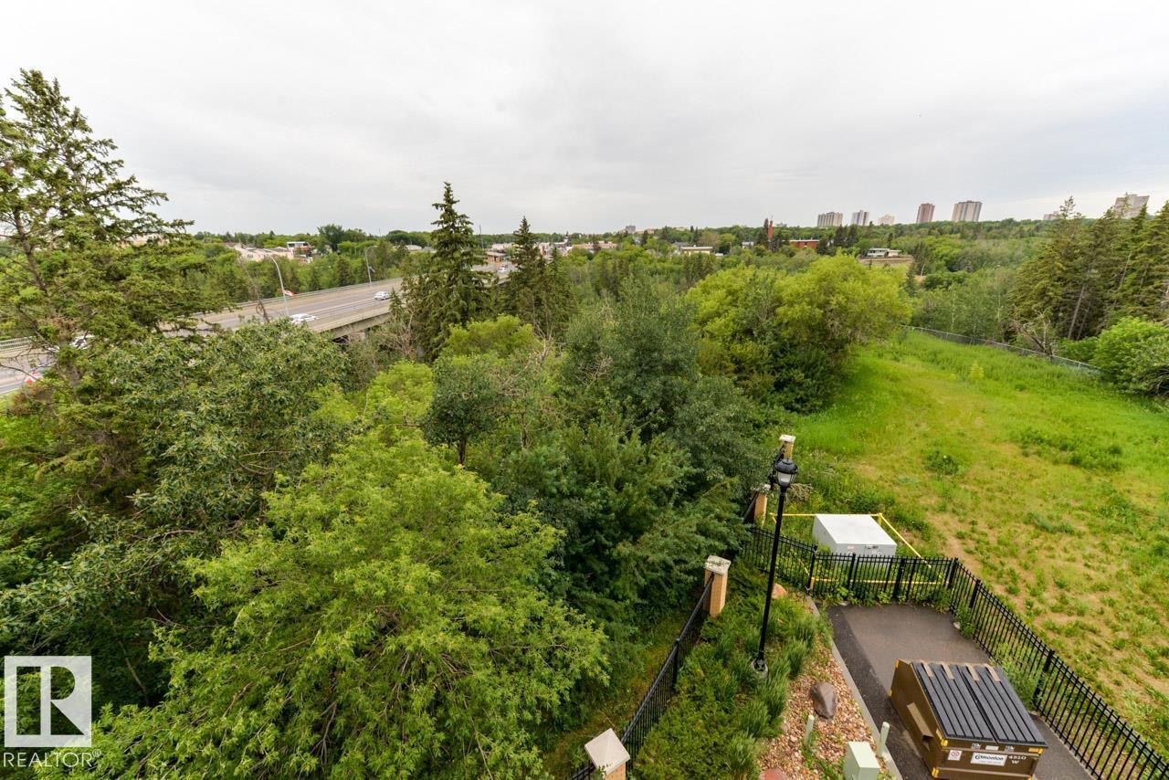 #302 9316 82 Av NW, Edmonton, Alberta  T6C 0Z6 - Photo 33 - E4496323