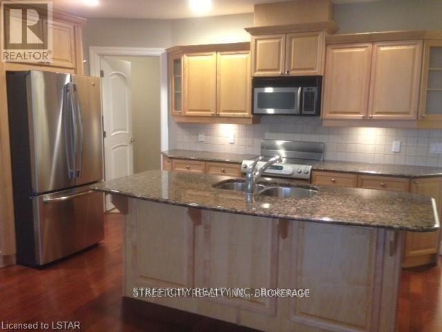 1001 - 250 Pall Mall Street, London East, Ontario  N6A 4K3 - Photo 4 - X13503338
