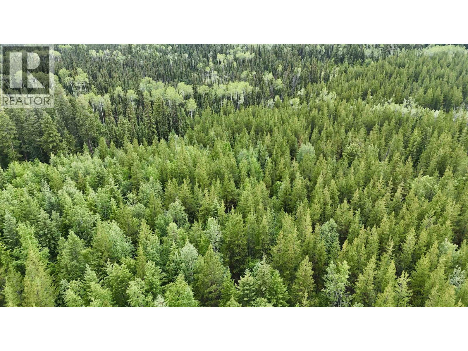 Lot 1 Dl 1422 Guest Road, Cluculz Lake, British Columbia  V0J 3A3 - Photo 11 - R3140261