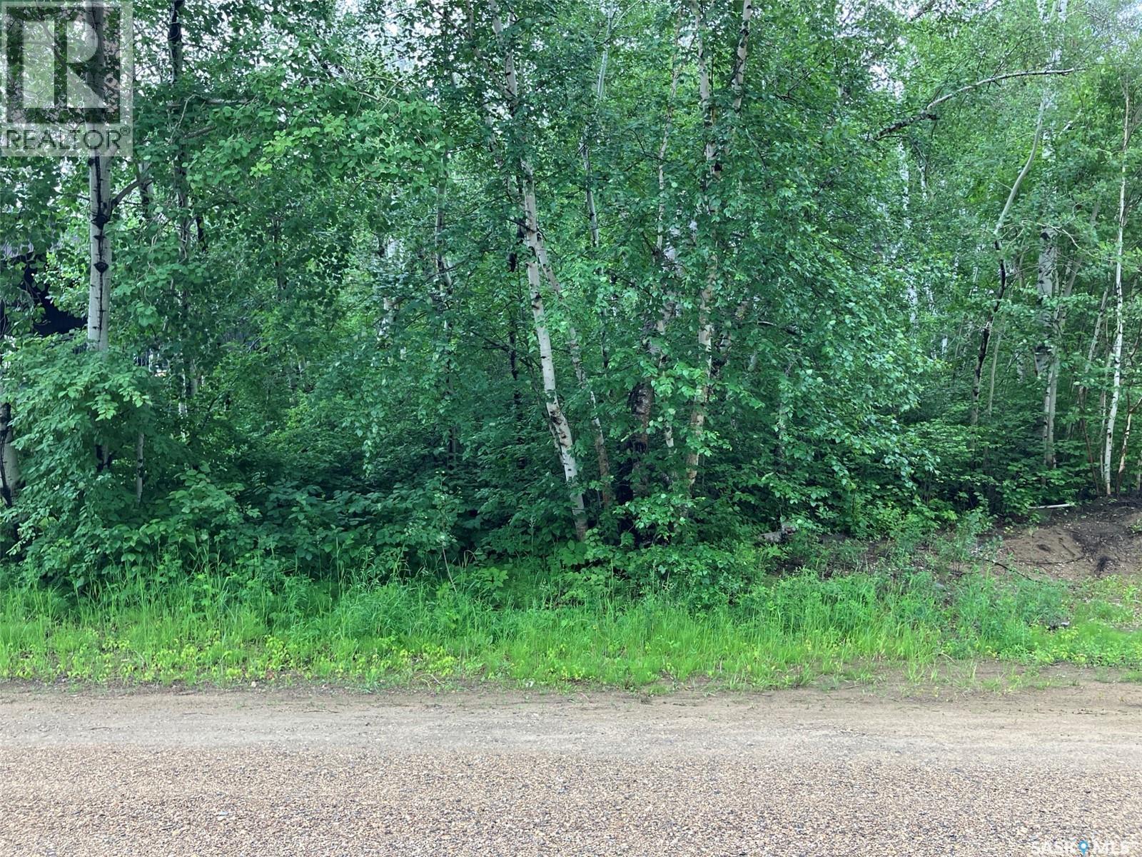 1311 Westview Avenue, Tobin Lake, Saskatchewan  S0E 1E0 - Photo 2 - SK041073