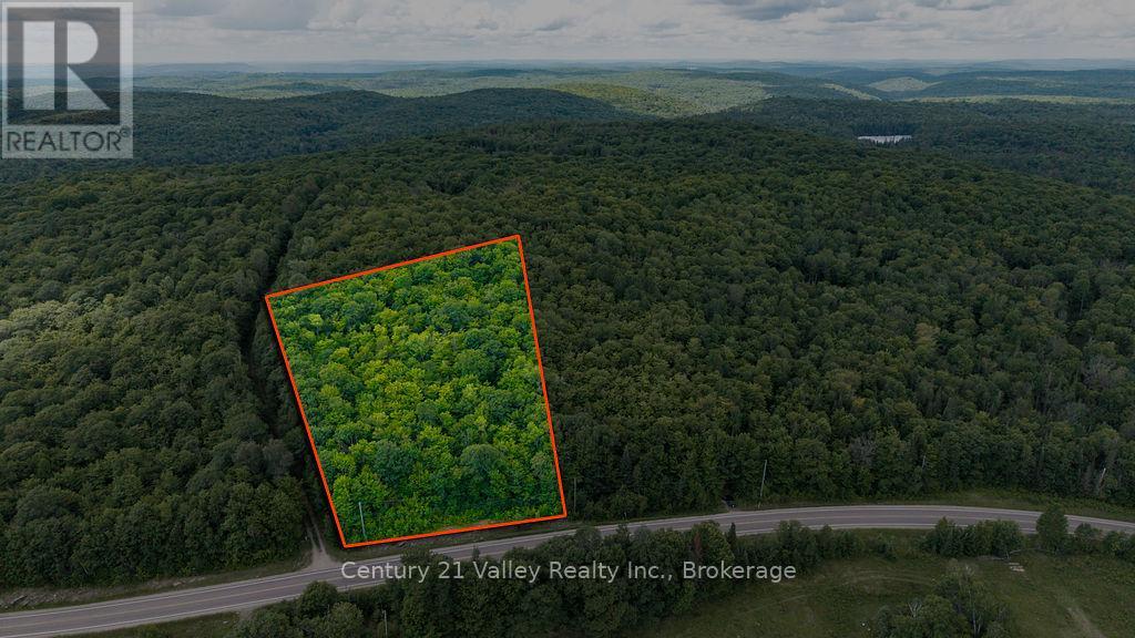 00 Quadeville Road, Brudenell, Ontario  K0J 1T0 - Photo 2 - X13503664