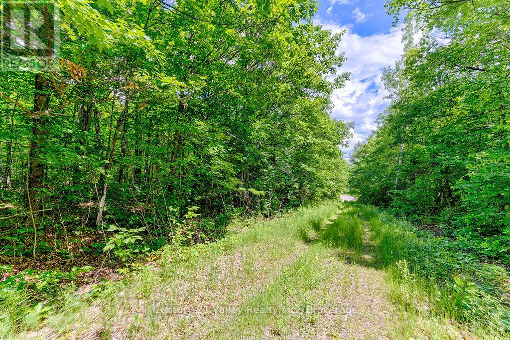 00 Quadeville Road, Brudenell, Ontario  K0J 1T0 - Photo 3 - X13503664