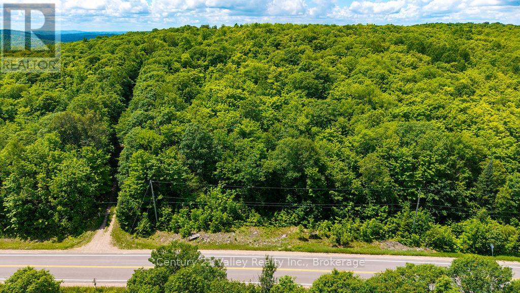00 Quadeville Road, Brudenell, Ontario  K0J 1T0 - Photo 4 - X13503664
