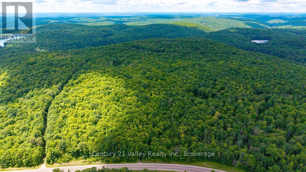 00 Quadeville Road, Brudenell, Ontario  K0J 1T0 - Photo 6 - X13503664