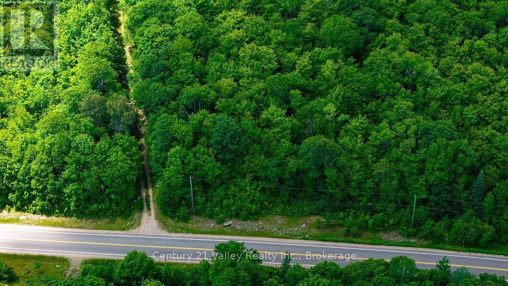 00 Quadeville Road, Brudenell, Ontario  K0J 1T0 - Photo 7 - X13503664