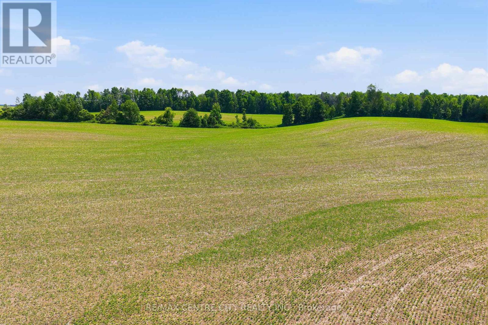 7786 21 Highway, Arran-Elderslie, Ontario  N0H 1A0 - Photo 14 - X13503700