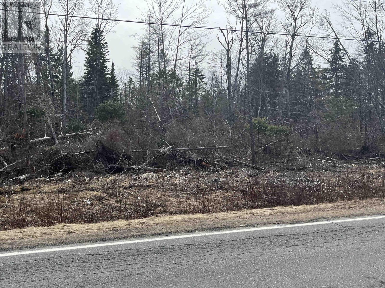 Lot 1-0 Scotsburn Road, West Branch, Nova Scotia  B0K 1R0 - Photo 4 - 202616032