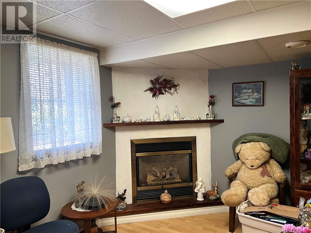 559 Tedman Avenue, Greater Sudbury, Ontario  P3C 5B1 - Photo 10 - 2128894