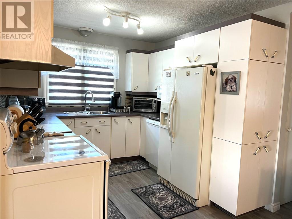 559 Tedman Avenue, Greater Sudbury, Ontario  P3C 5B1 - Photo 3 - 2128894