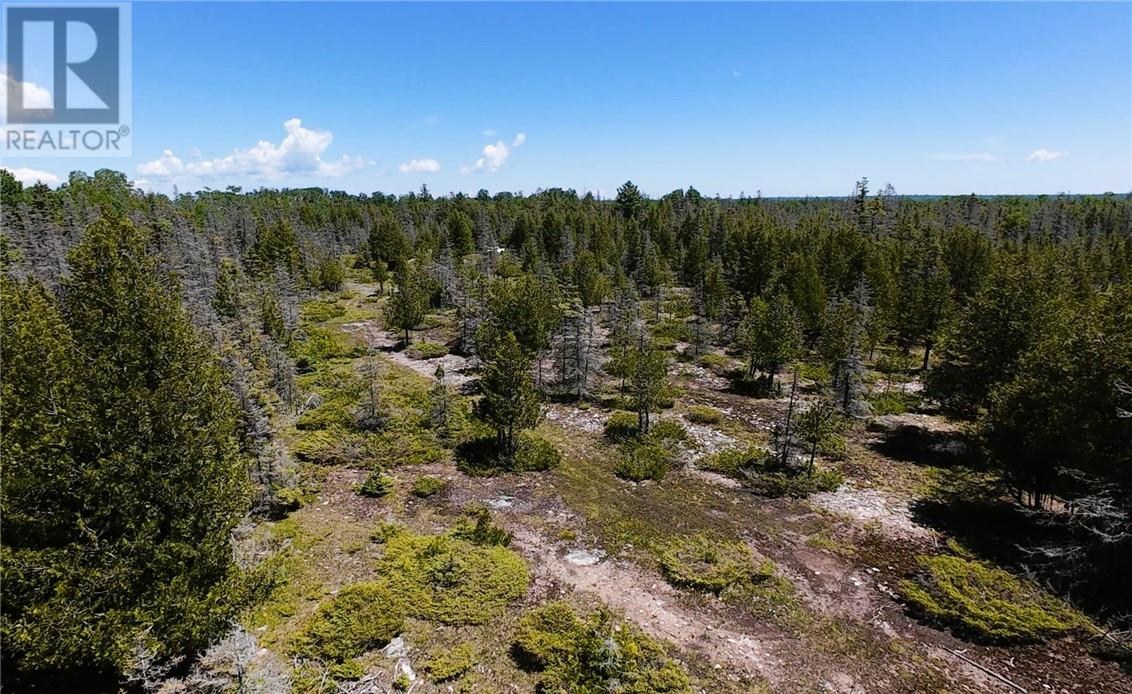 Lot 12 Concession 11, Tehkummah, Ontario  P0P 2C0 - Photo 6 - 2128798