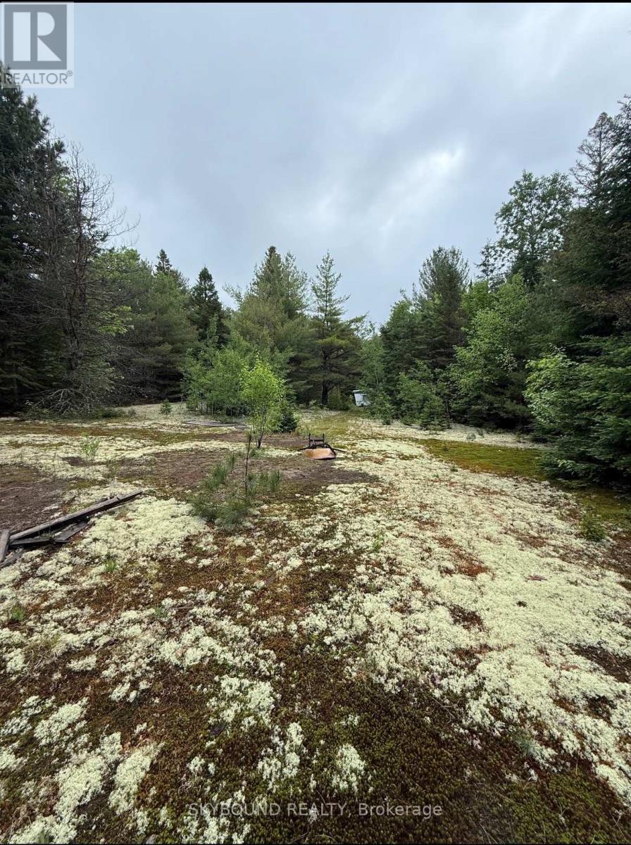 92 MCALPINE ROAD, Hastings Highlands, Ontario