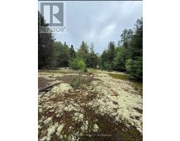 92 MCALPINE ROAD, Hastings Highlands, Ontario
