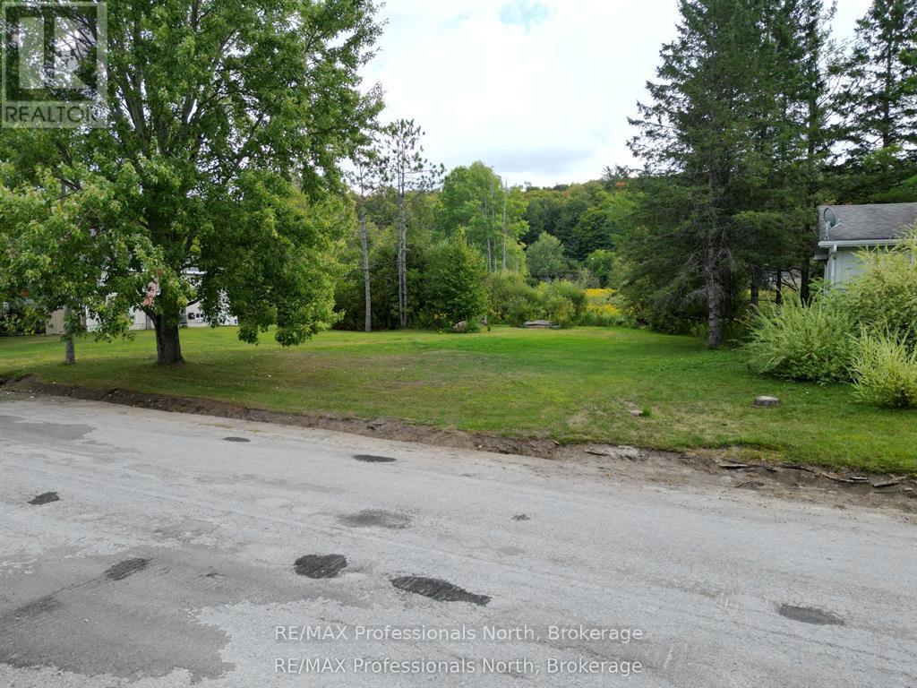 0 Parts Lot 12, Plan 1, Anson Street, Minden Hills, Ontario  K0M 2K0 - Photo 11 - X13504058