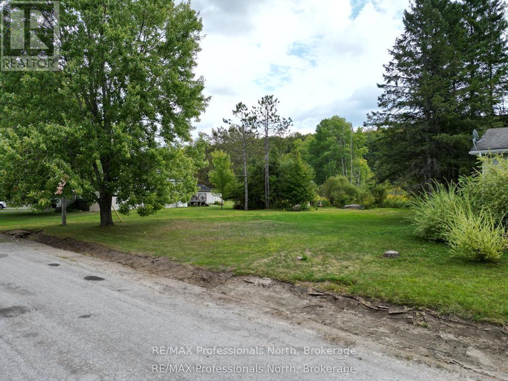 0 Parts Lot 12, Plan 1, Anson Street, Minden Hills, Ontario  K0M 2K0 - Photo 3 - X13504058
