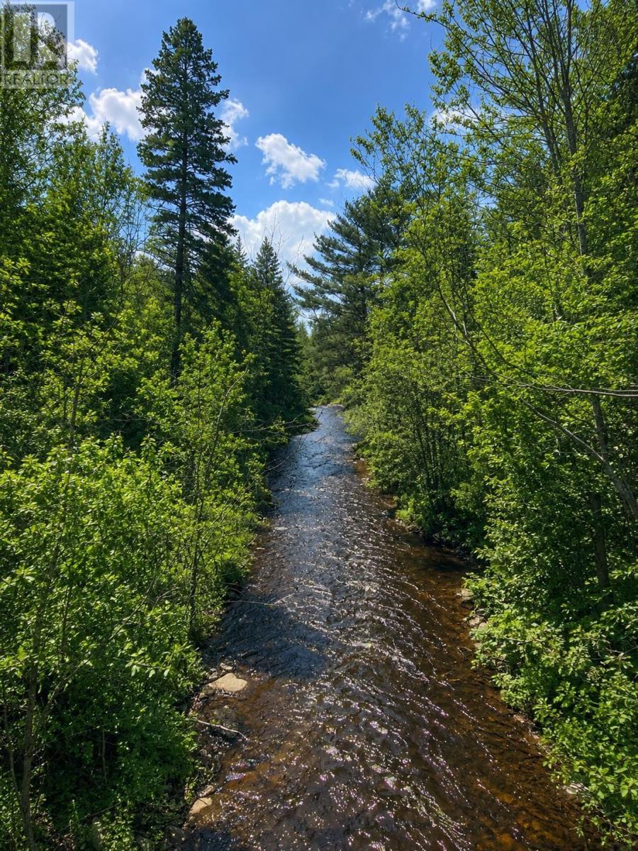 Lot 23-2 Chesley Road, Barss Corner, Nova Scotia  B0R 1E0 - Photo 5 - 202616045