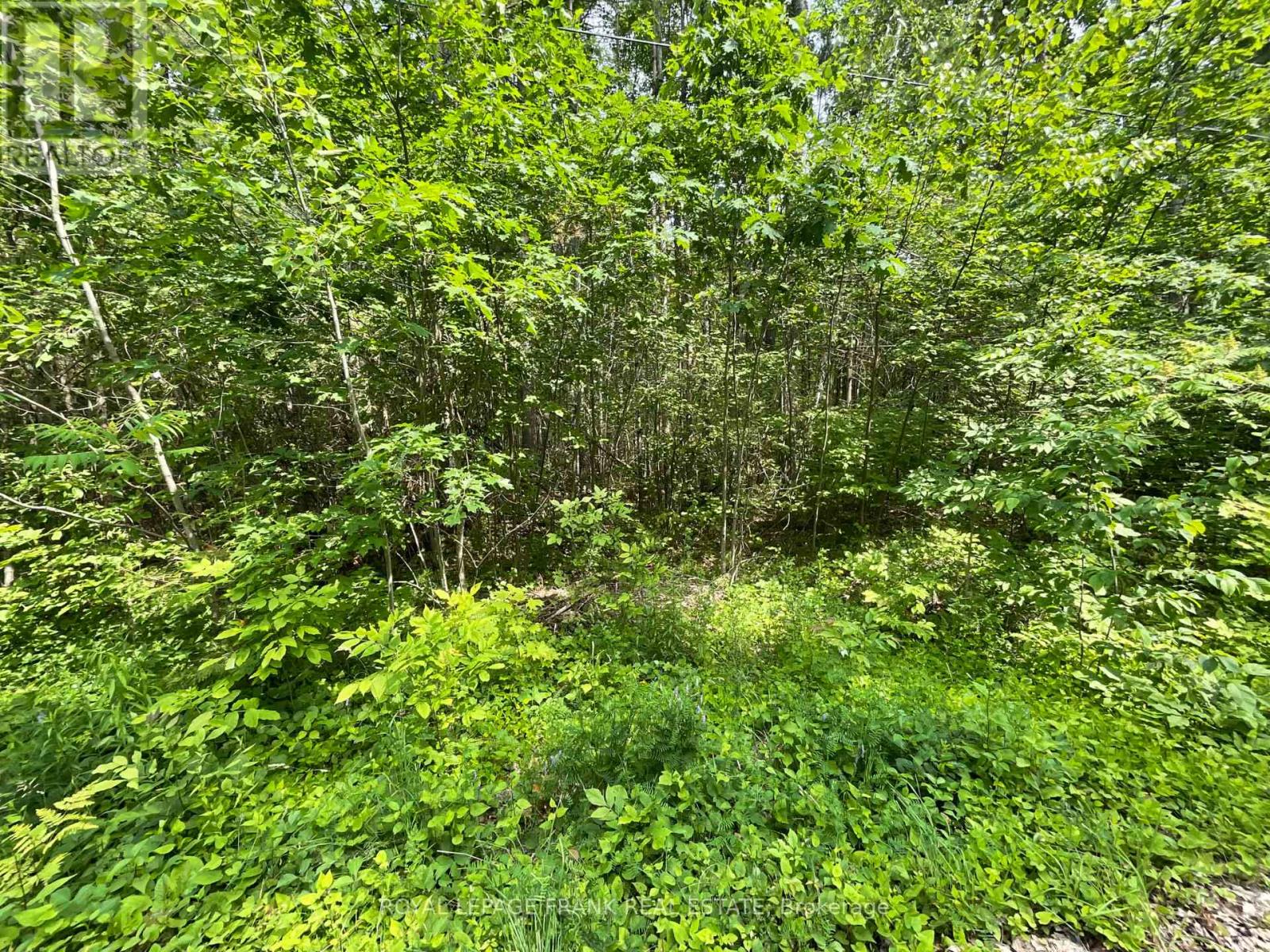 0 Sugarbush Crescent, Trent Lakes, Ontario  K0L 1J0 - Photo 6 - X12842806