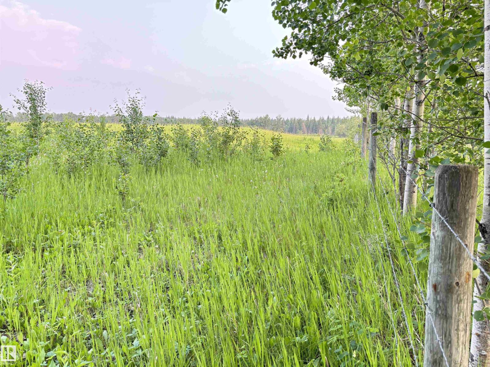 200xx Twp Rd 662, Rural Lesser Slave River M.d., Alberta  T0G 0Z0 - Photo 21 - E4495756