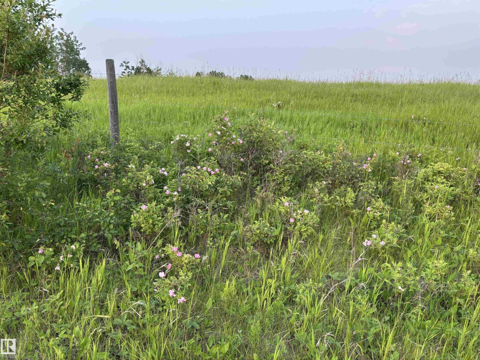 200xx Twp Rd 662, Rural Lesser Slave River M.d., Alberta  T0G 0Z0 - Photo 22 - E4495756