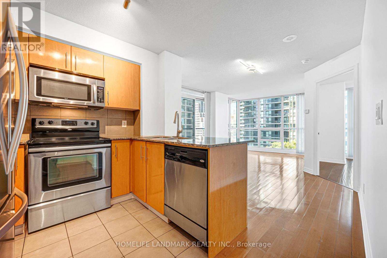 901 - 16 Yonge Street, Toronto, Ontario  M5E 2A1 - Photo 11 - C13504792