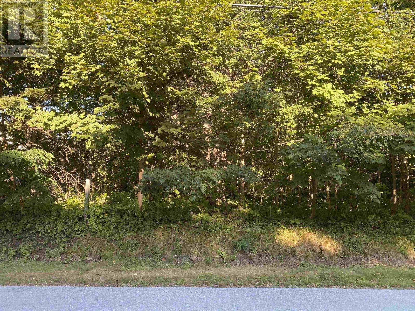 Lot (Pid 70088364) Hillside Road, Brooklyn, Nova Scotia  B0J 1H0 - Photo 7 - 202520741