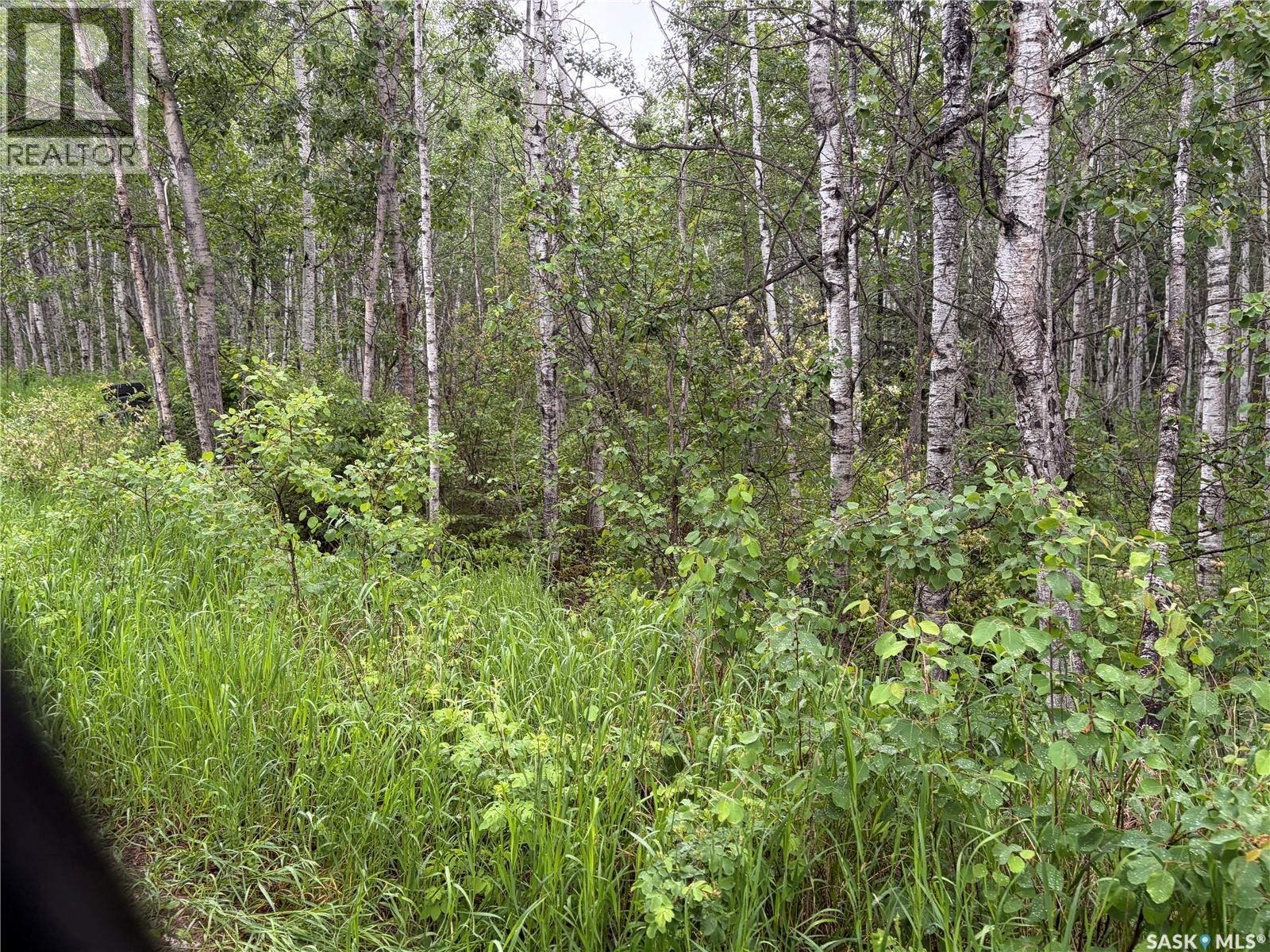 Canwood Rm Land, Canwood Rm No. 494, Saskatchewan  S0J 0K0 - Photo 6 - SK040493