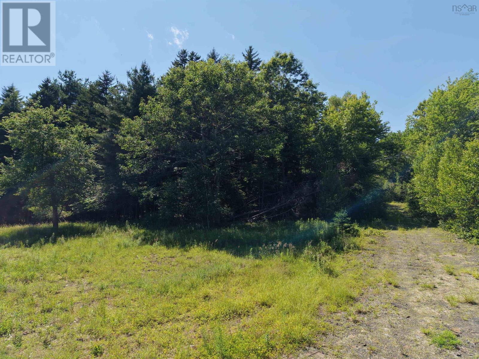 Lot 103 Highway 325, Blockhouse, Nova Scotia  B0J 2E0 - Photo 9 - 202616064