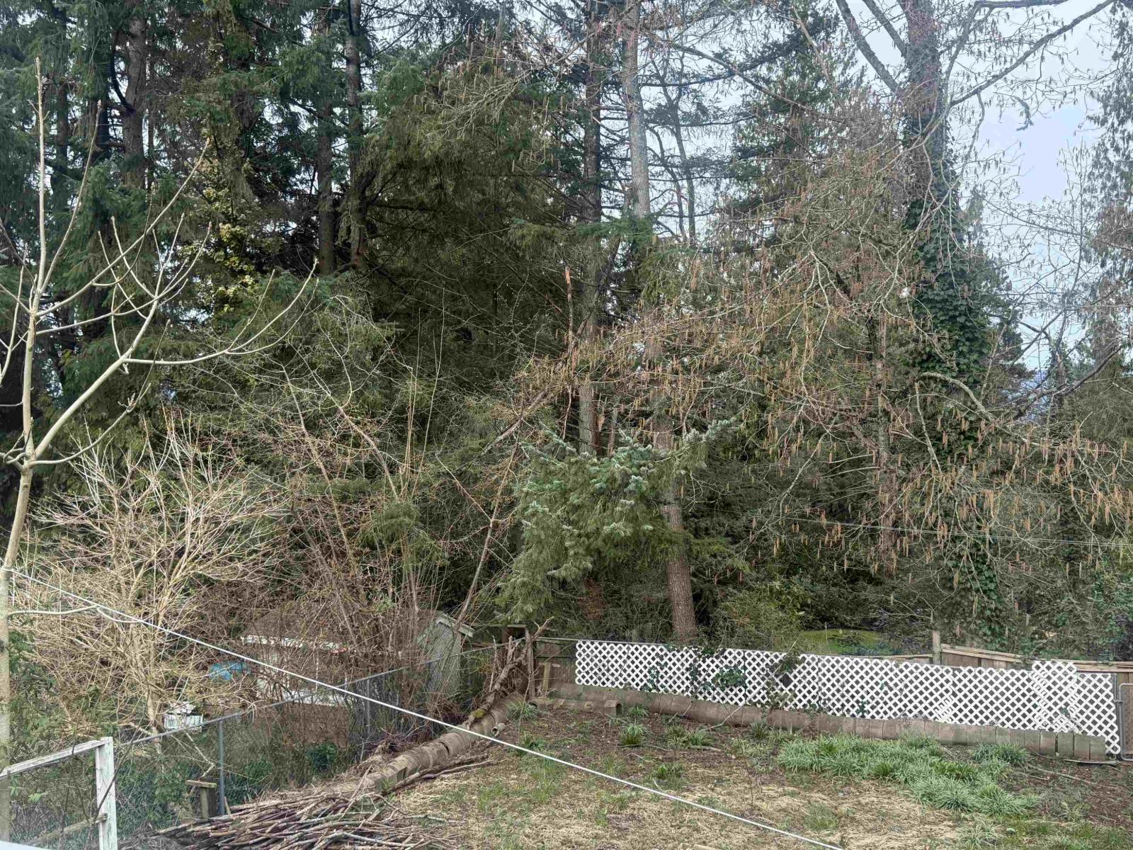 13833 114 Avenue, Surrey, British Columbia  V3R 2L8 - Photo 32 - R3097164
