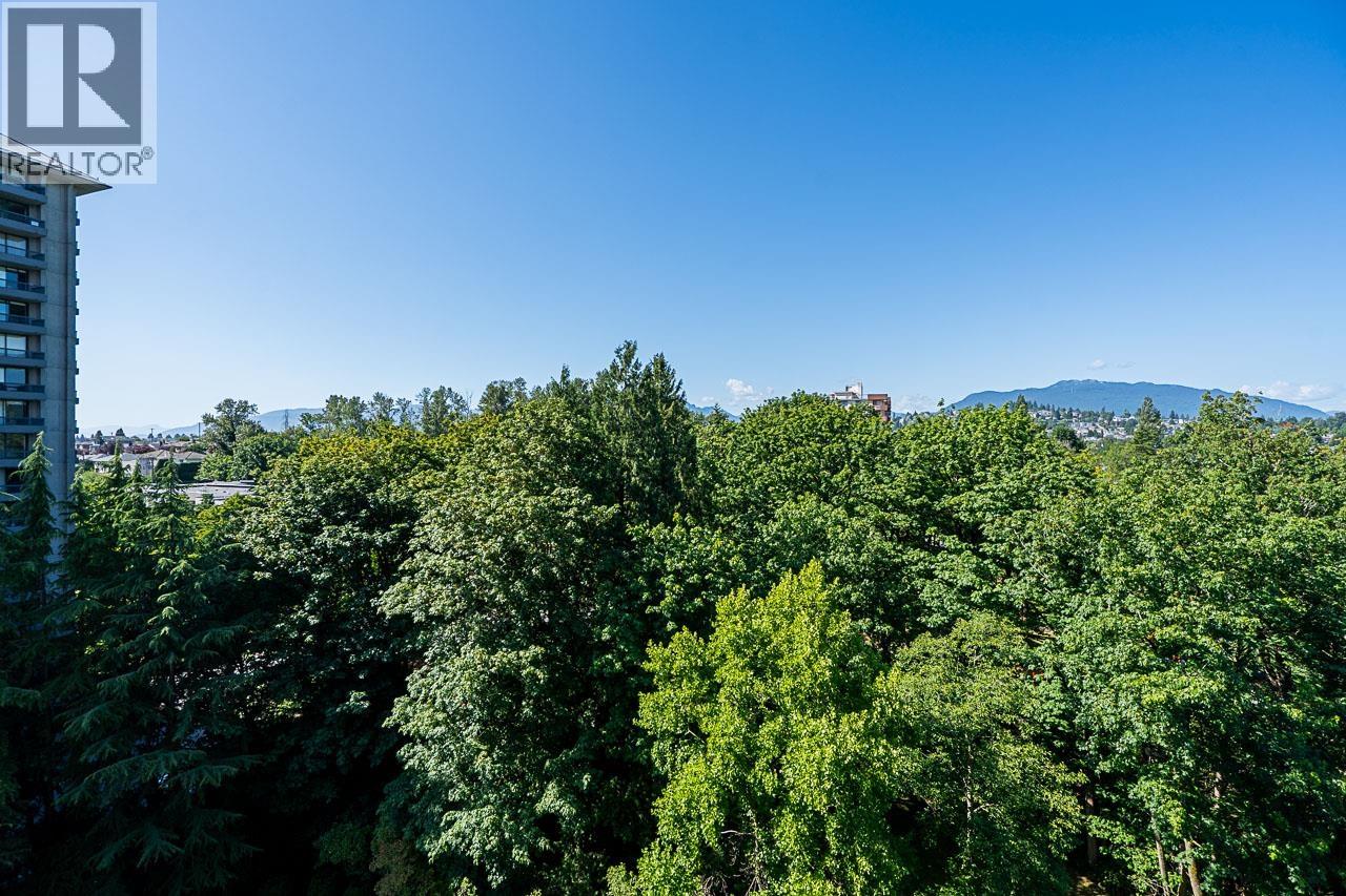 1203 2041 Bellwood Avenue, Burnaby, British Columbia  V5B 4V5 - Photo 26 - R3140815