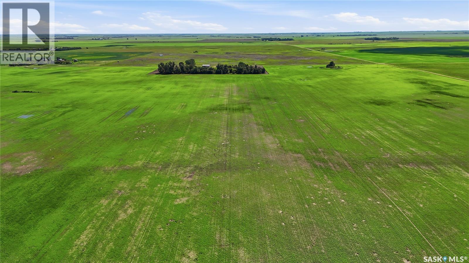 Rm160 Pense - Hein, Pense Rm No. 160, Saskatchewan  S0G 3W0 - Photo 2 - SK041011