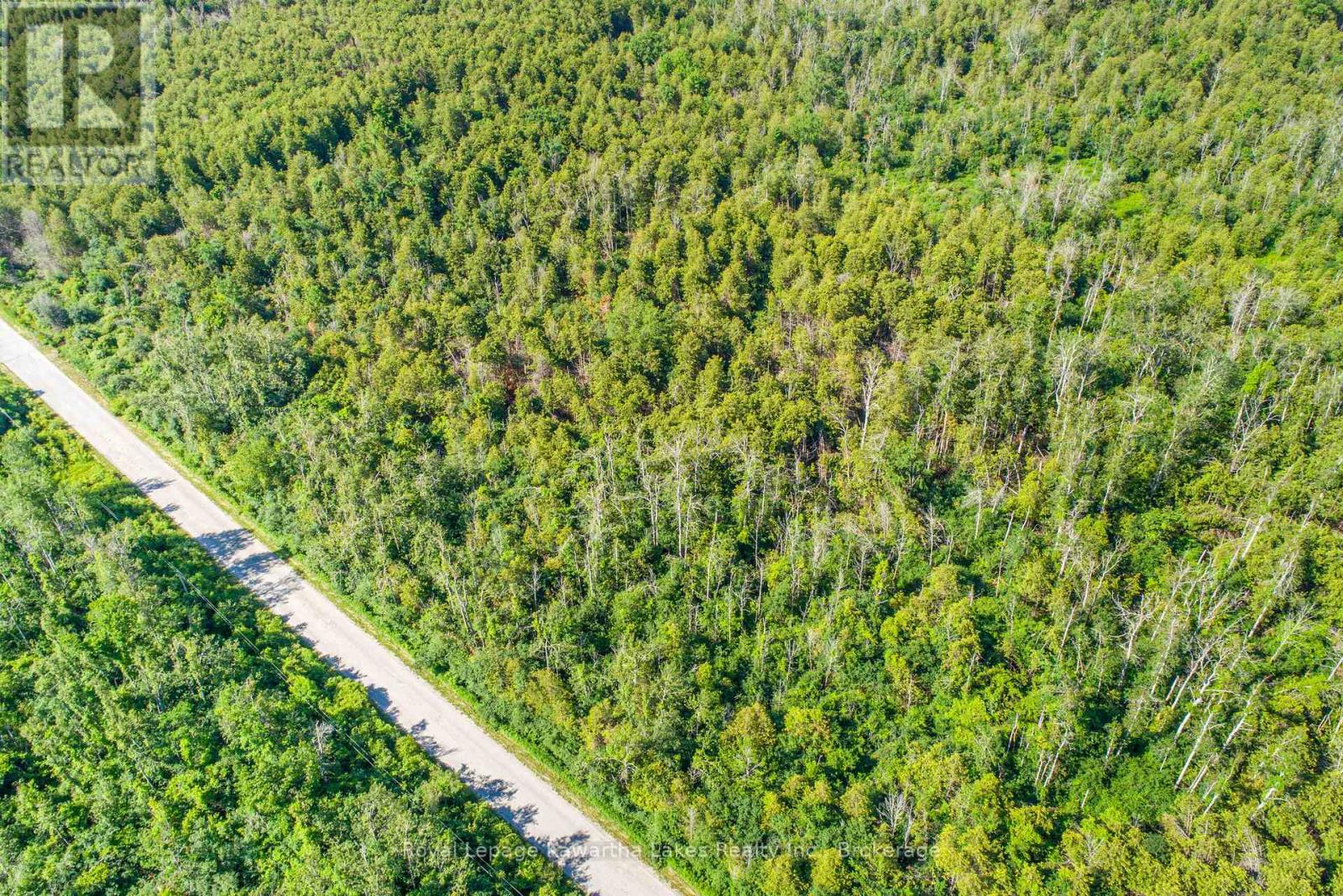 36 Spen Haven Road, Kawartha Lakes, Ontario  K9V 0K3 - Photo 22 - X13505708