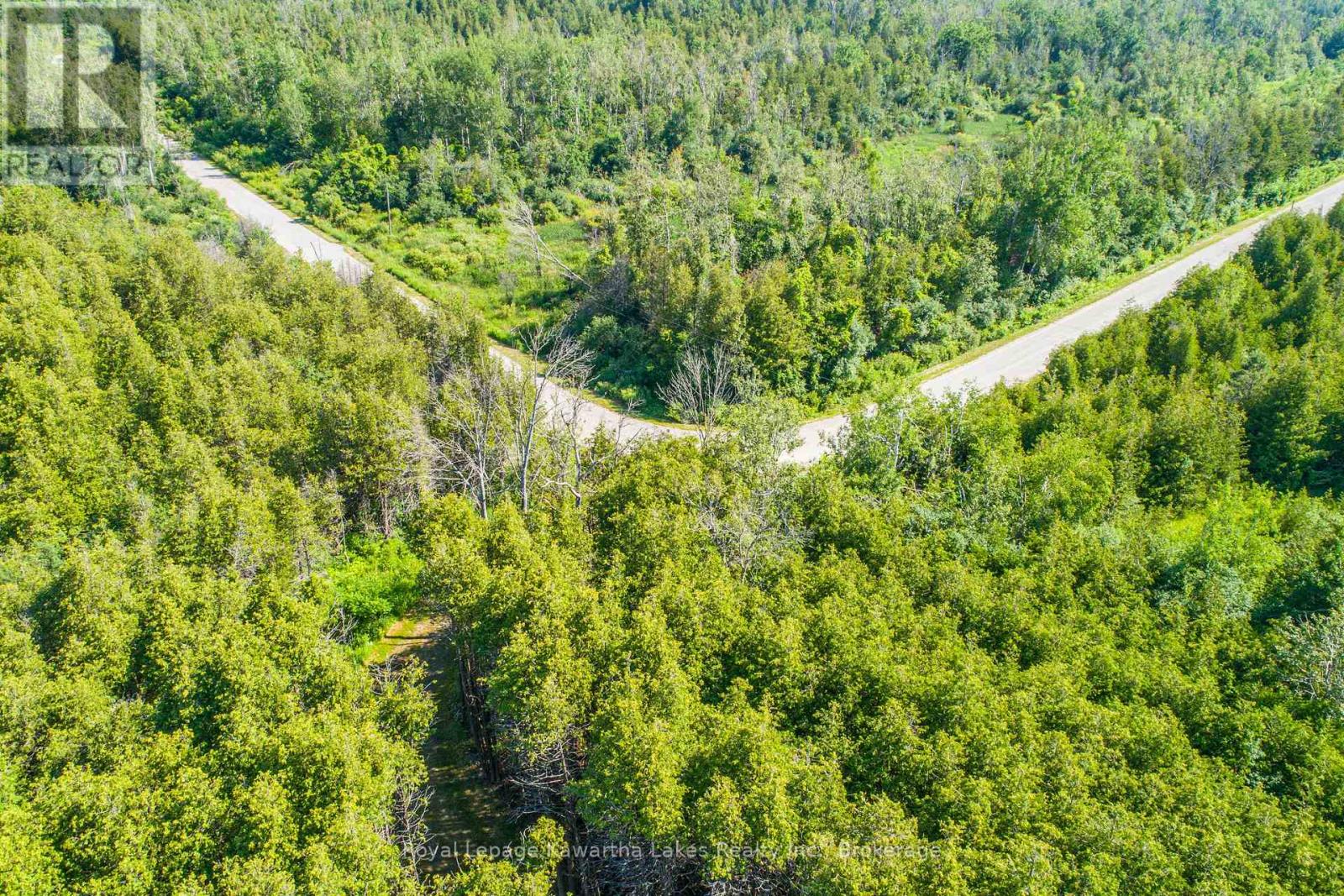 36 Spen Haven Road, Kawartha Lakes, Ontario  K9V 0K3 - Photo 26 - X13505708