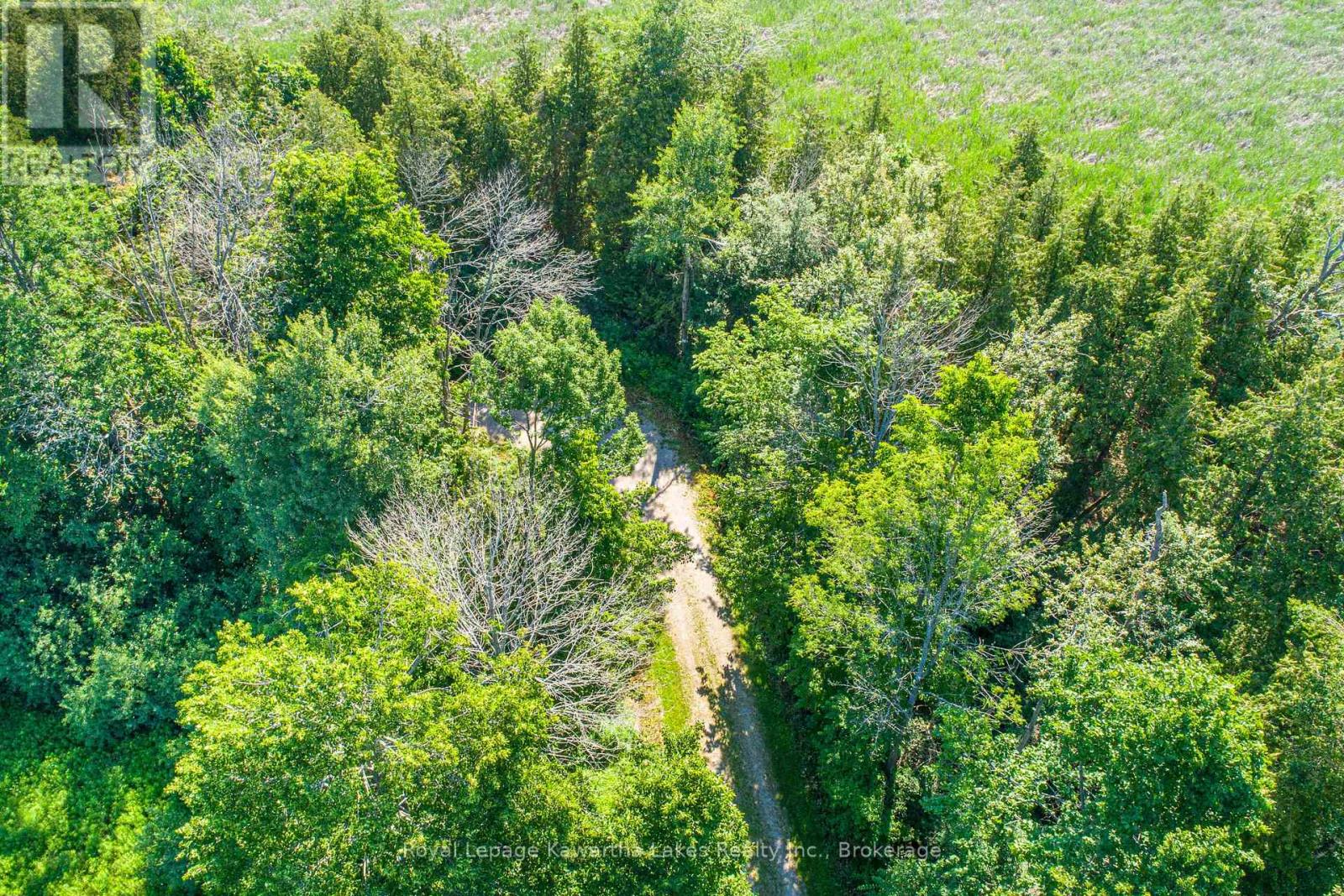 36 Spen Haven Road, Kawartha Lakes, Ontario  K9V 0K3 - Photo 5 - X13505708