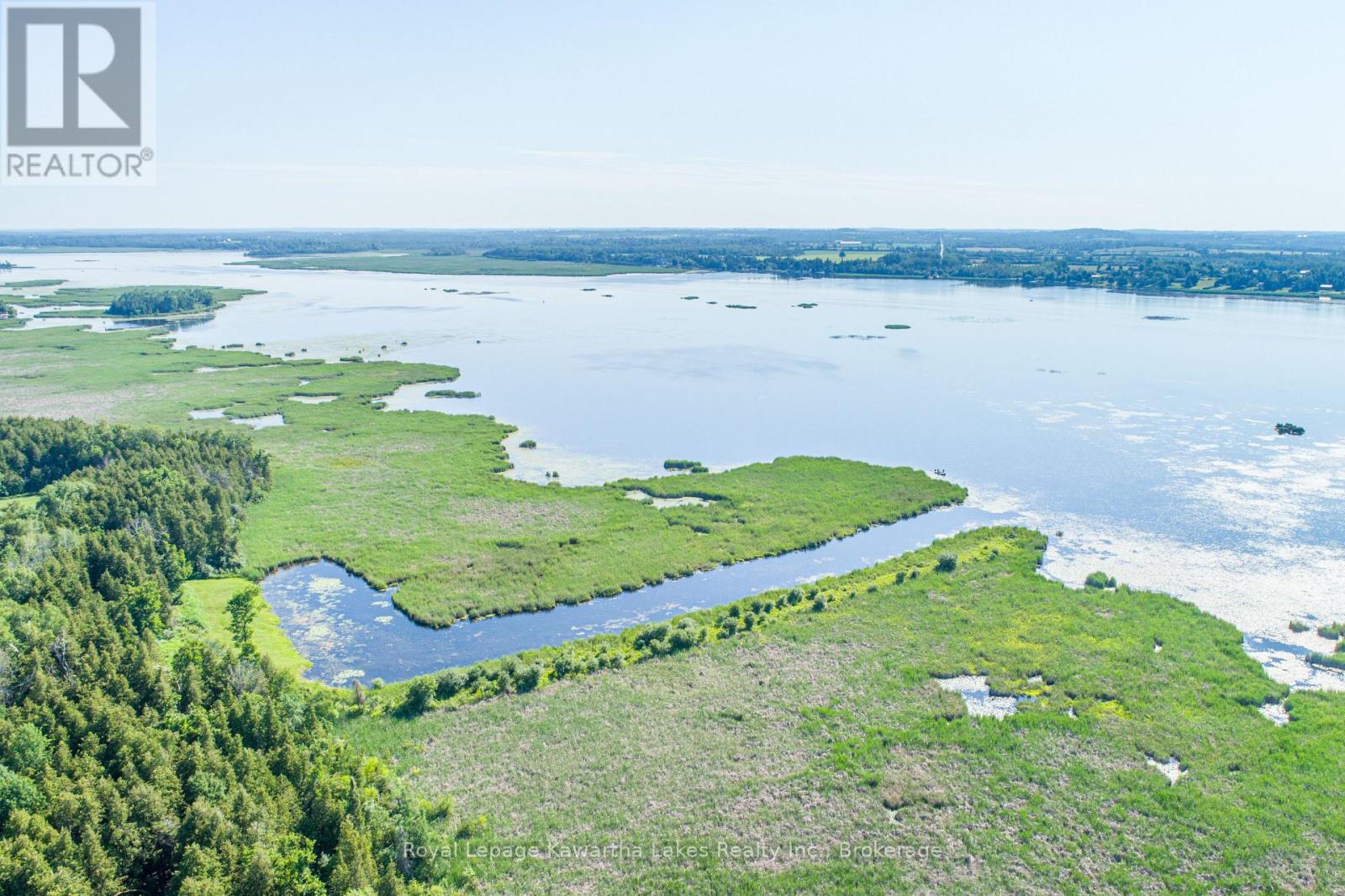 36 Spen Haven Road, Kawartha Lakes, Ontario  K9V 0K3 - Photo 7 - X13505708