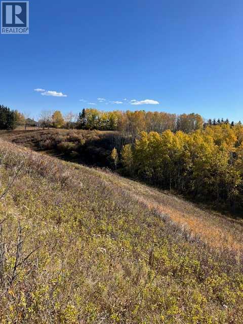 39 Taylor Bay, Rural Rocky View County, Alberta  T3L 2P6 - Photo 18 - A2325453