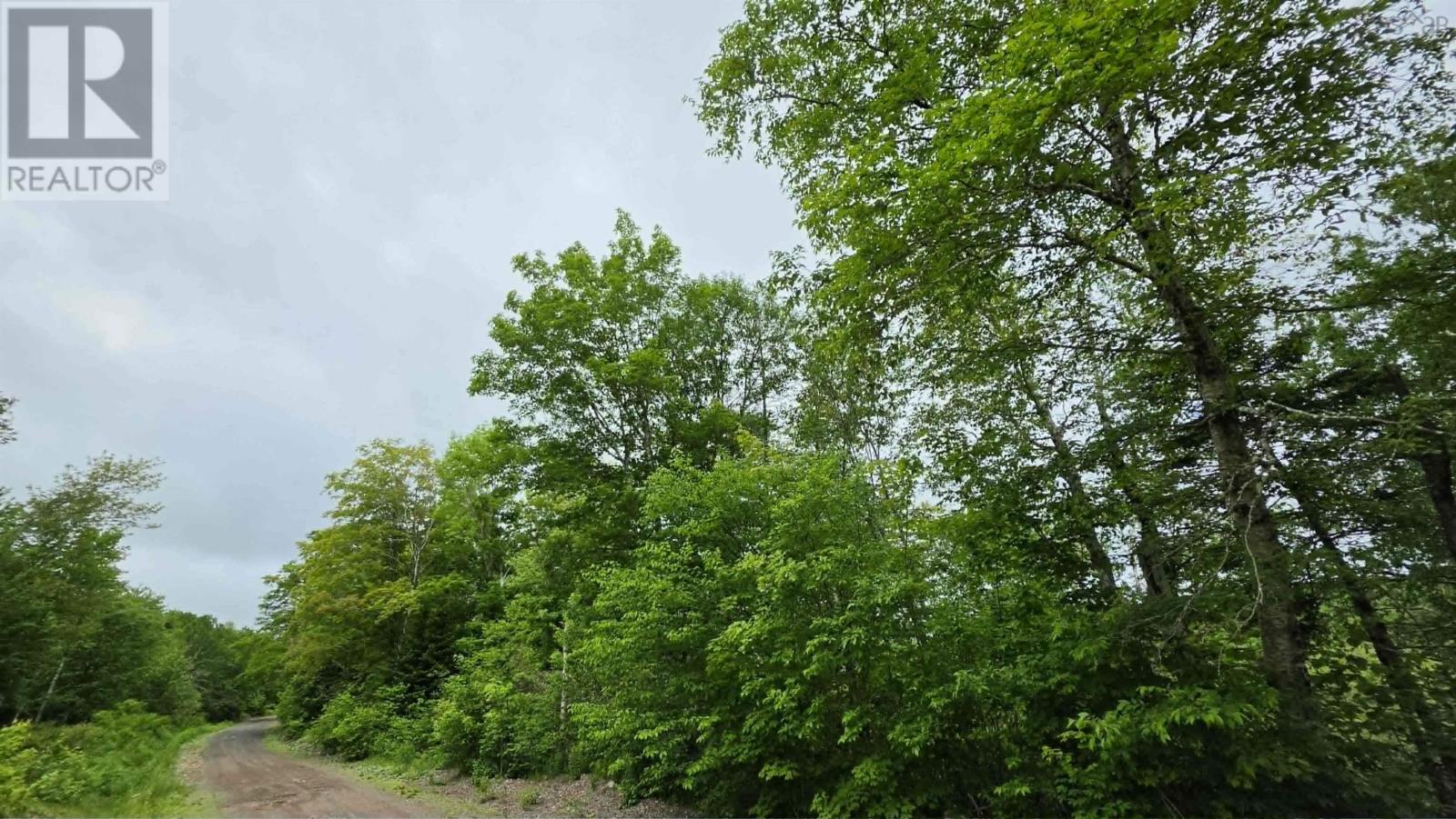Ohio East Side Road, Antigonish, Nova Scotia  B2G 2K8 - Photo 3 - 202616100