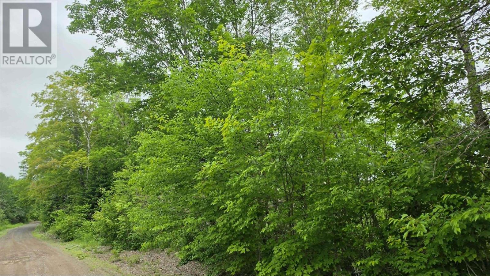 Ohio East Side Road, Antigonish, Nova Scotia  B2G 2K8 - Photo 4 - 202616100