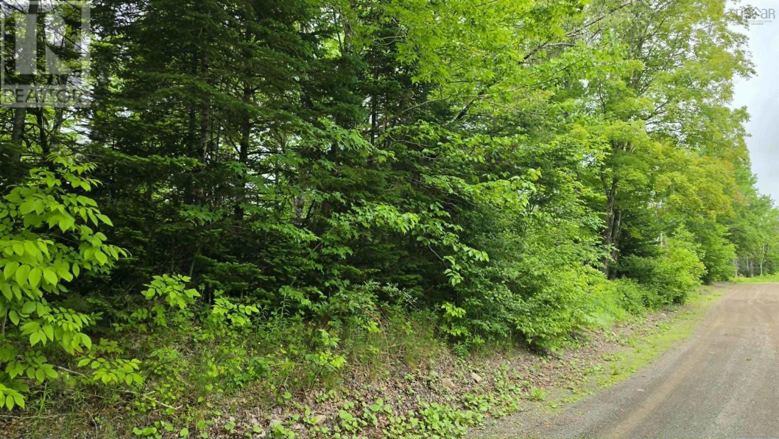 Ohio East Side Road, Antigonish, Nova Scotia  B2G 2K8 - Photo 2 - 202616100