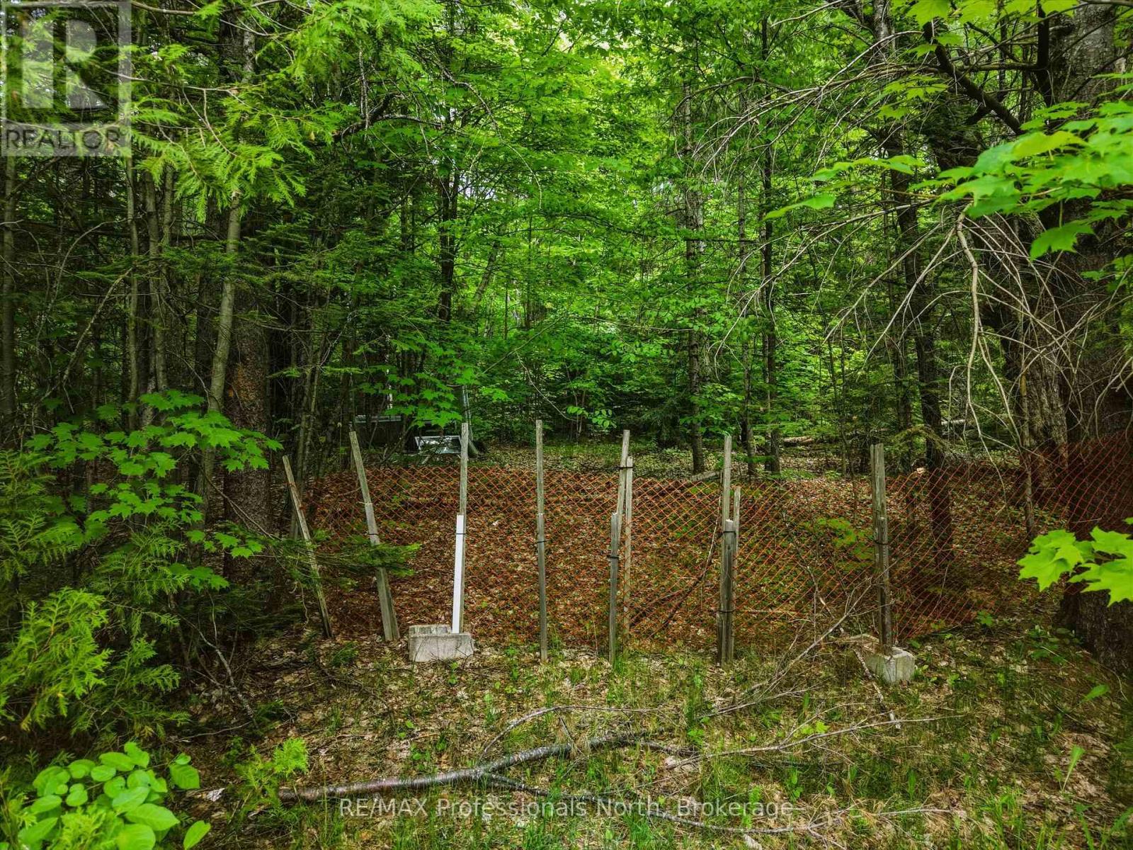 2445 Manitoba Street, Bracebridge (Monck (Bracebridge)), Ontario  P1L 1X4 - Photo 10 - X13505916