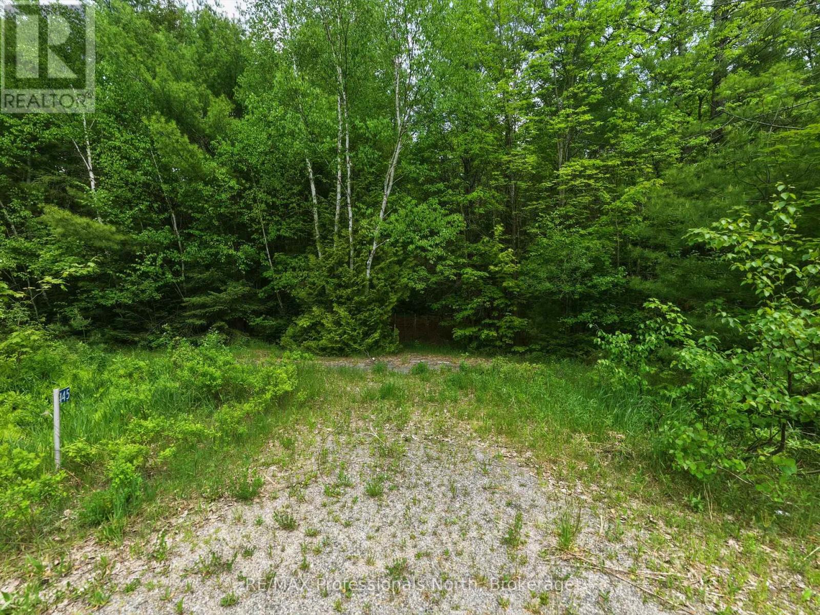 2445 Manitoba Street, Bracebridge (Monck (Bracebridge)), Ontario  P1L 1X4 - Photo 11 - X13505916